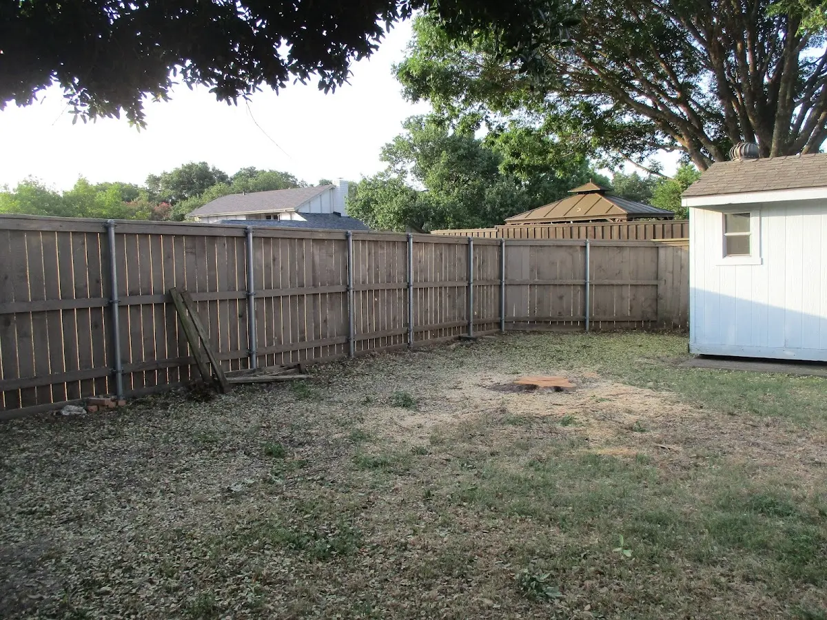 Cleared yard after professional tree removal in Junior