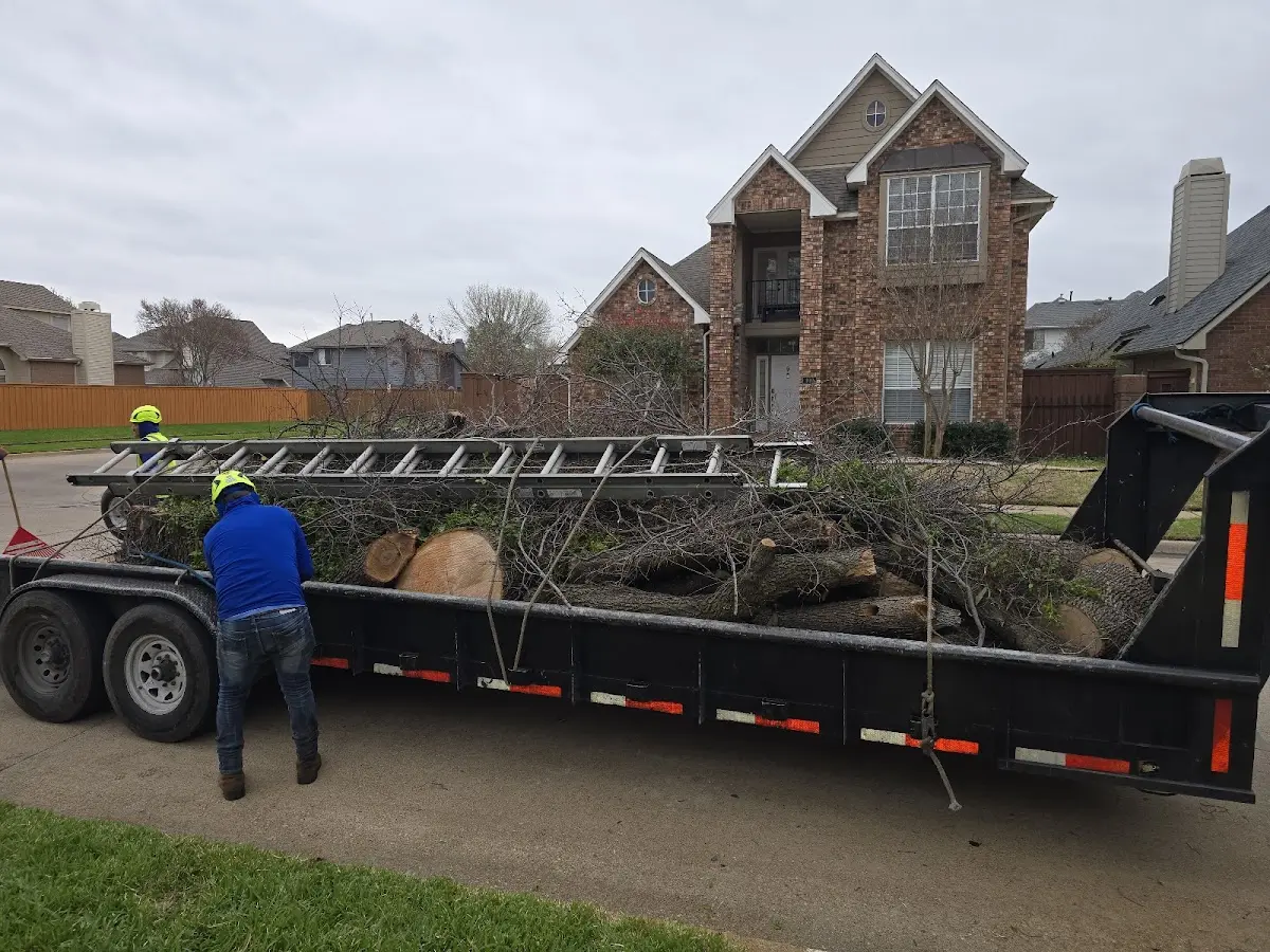 Expert Lot Clearing with proper safety equipment in Junior